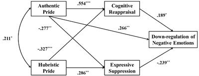 Successful emotion regulation via cognitive reappraisal in authentic pride: Behavioral and event-related potential evidence